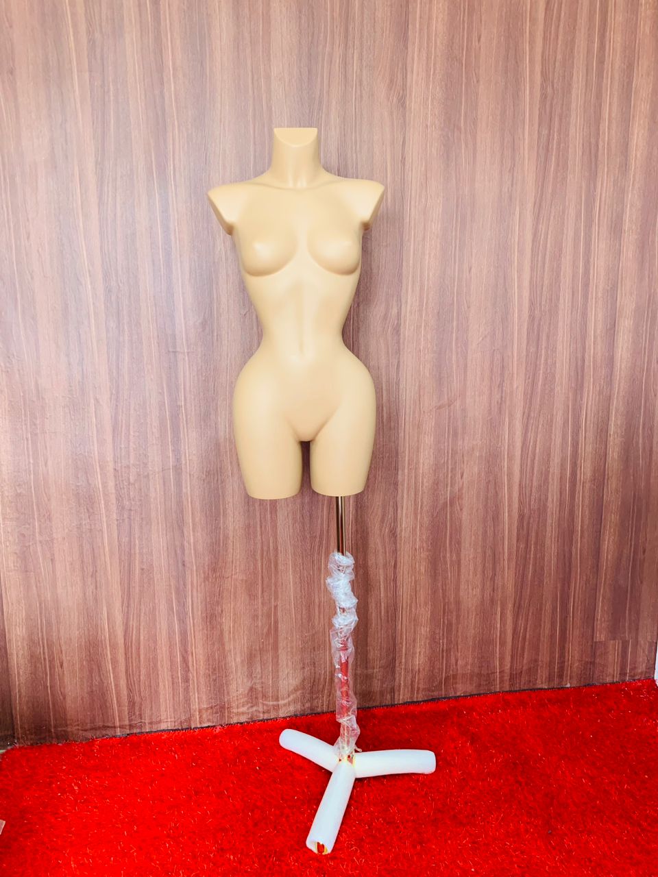 torso mannequin